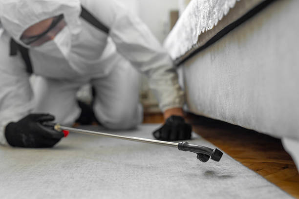 Professional Cockroach Control technician working in Cambridge, MD