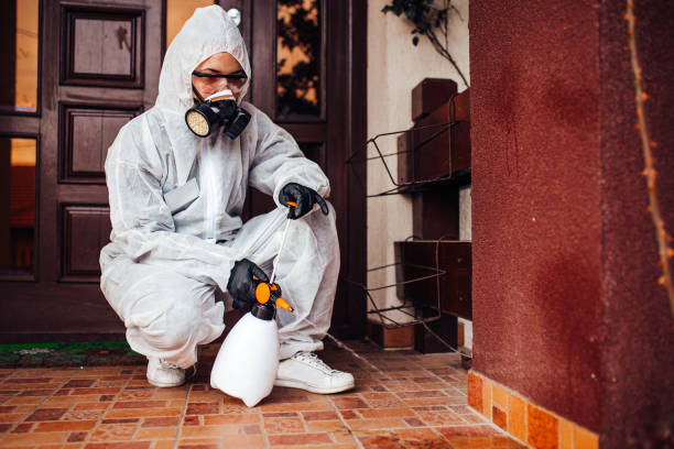 Reliable Cockroach Control contractor in Cambridge, MD by Nex Pest Control